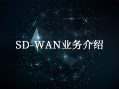  东莞企业SD-WAN组网成功案例
